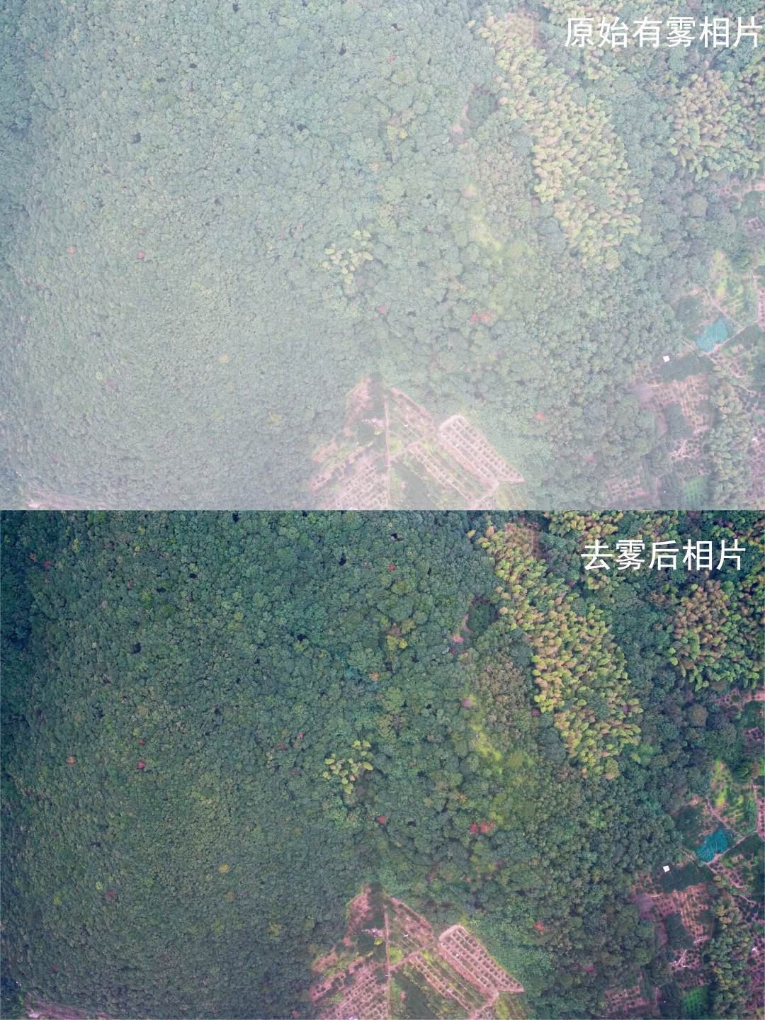 航摄影像去雾3.jpg